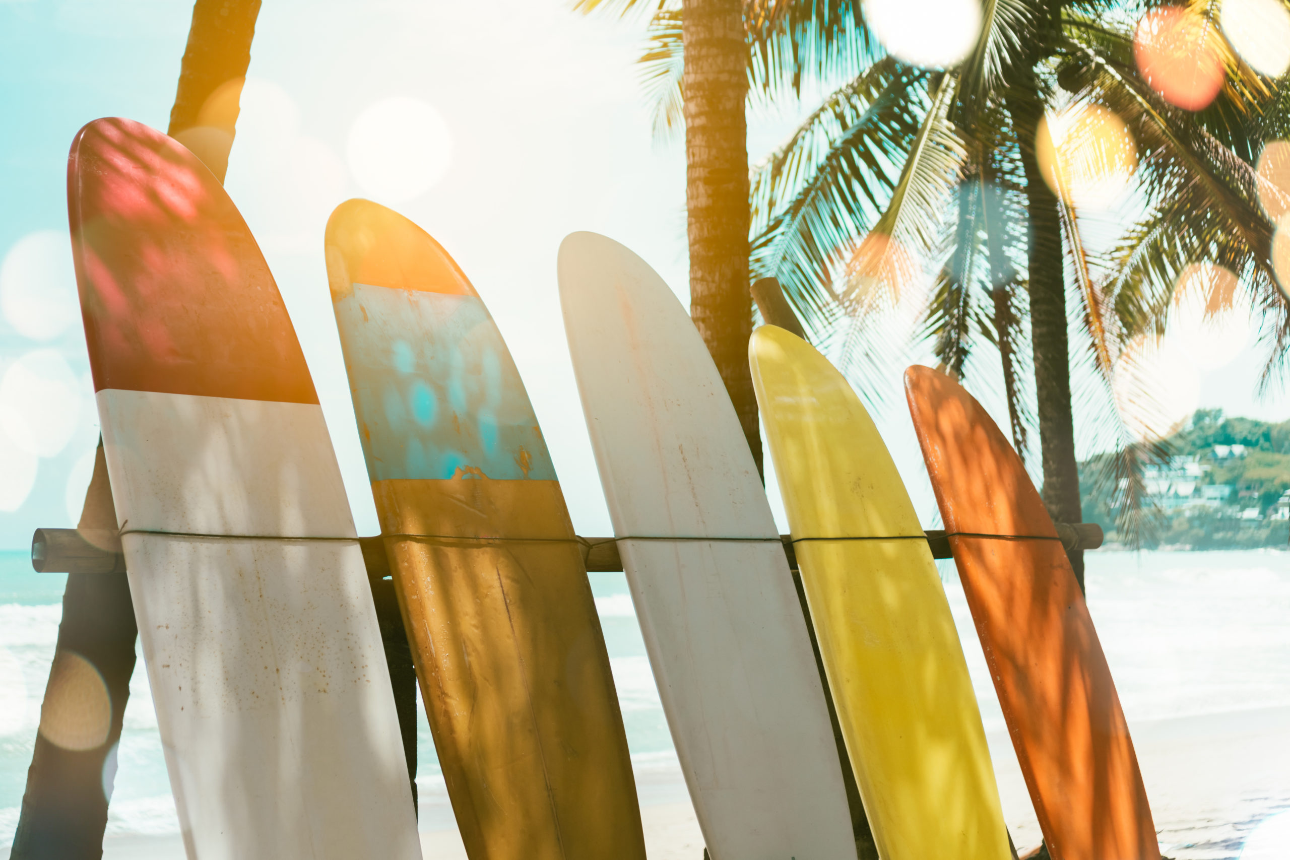 beach with surfboards